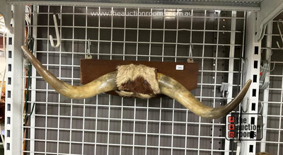 Lot 663