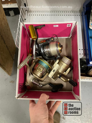 Lot 569