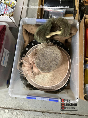 Lot 144