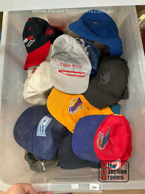 Lot 290