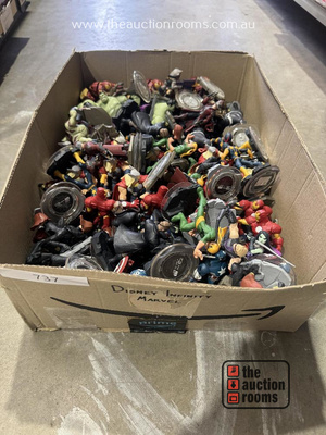 Lot 737