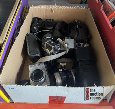 Lot 219