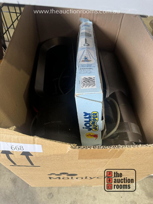 Lot 668