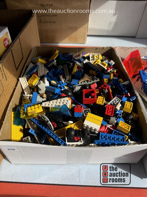 Lot 310