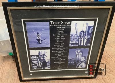 Lot 270